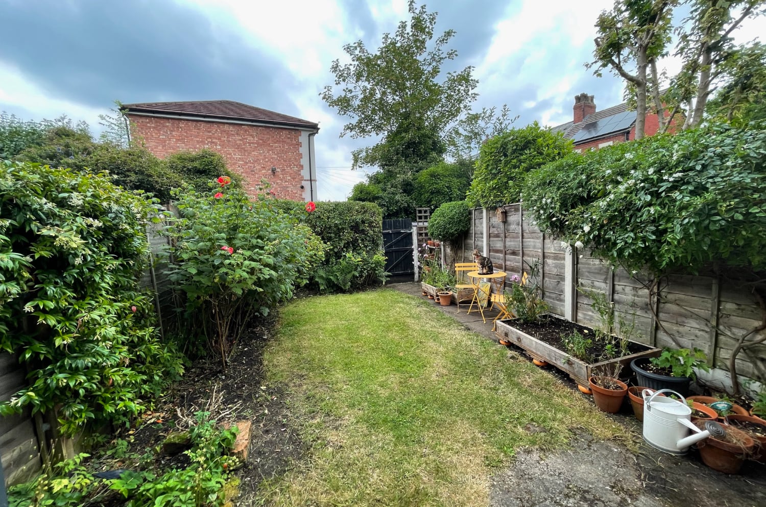 A lawn and various shrubs in an urban garden