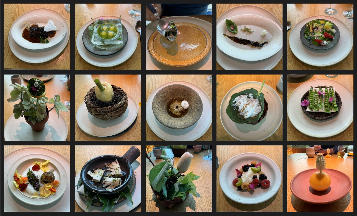 A grid of photos showing various dishes from the set menu at Noma, Copenhagen